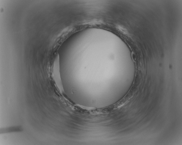 X0000076091398200610152307