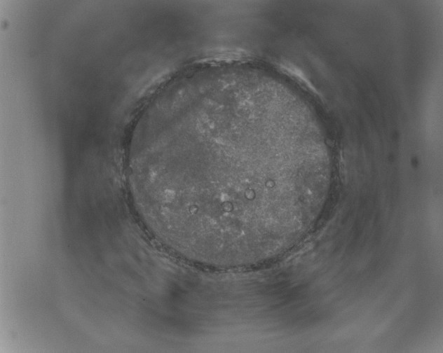 X0000076091399200610152307