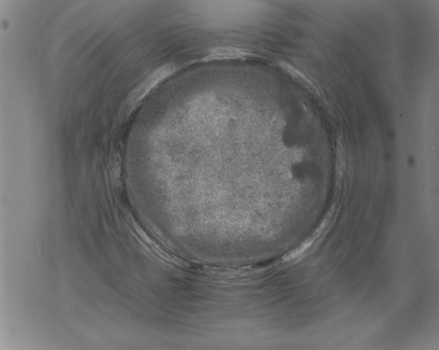 X0000076091401200610152307