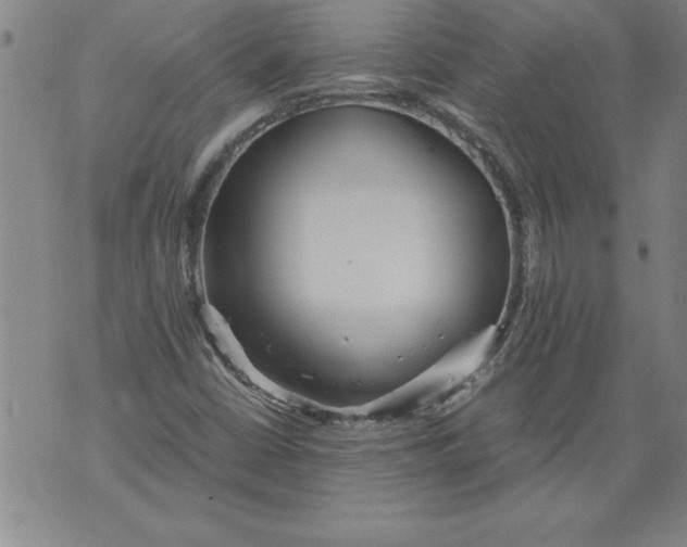 X0000076091402200610152307