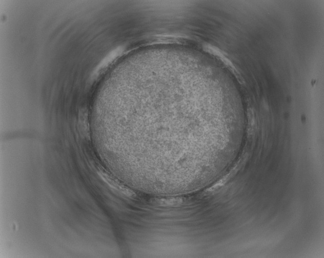 X0000076091403200610152307