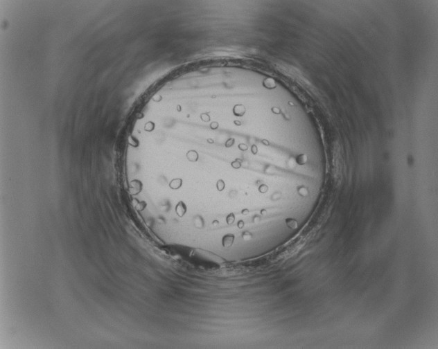 X0000076091404200610152307