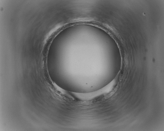 X0000076091406200610152307