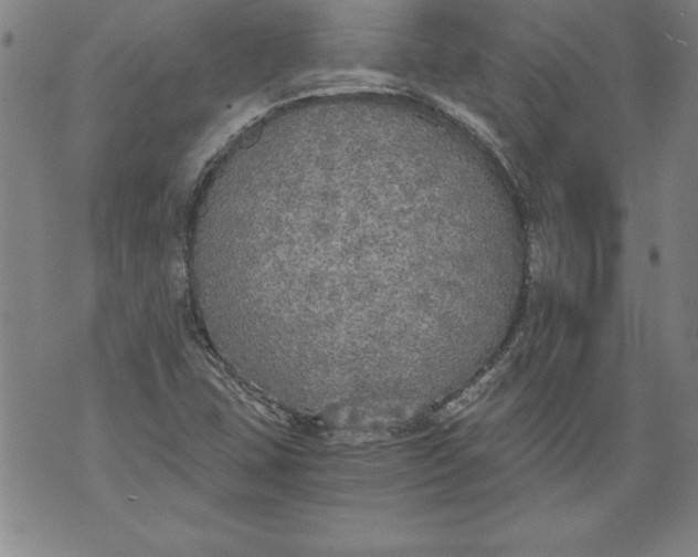 X0000076091407200610152307