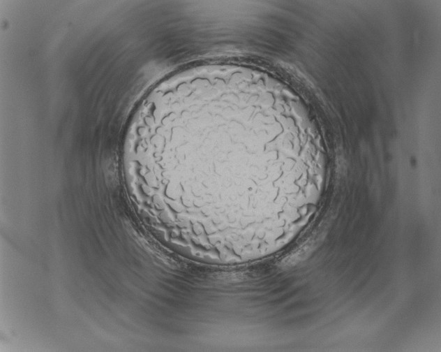 X0000076091409200610152307