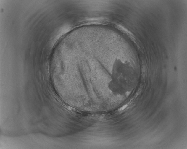 X0000076091411200610152307