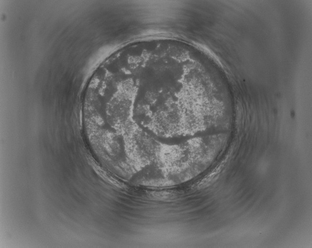 X0000076091413200610152307