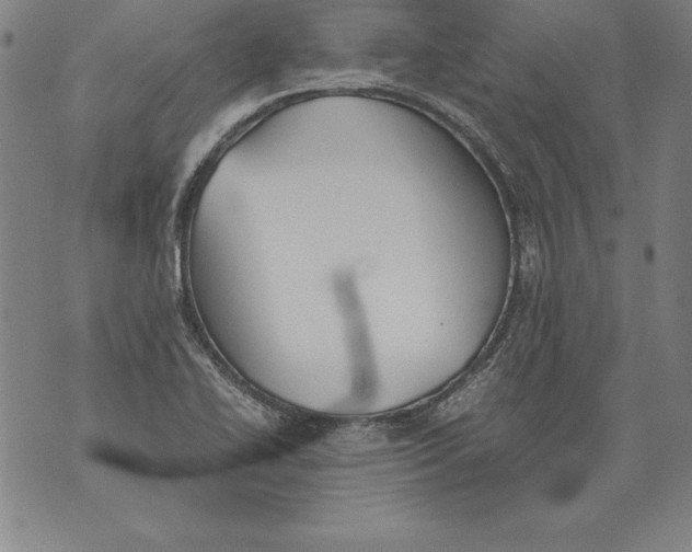 X0000076091414200610152307