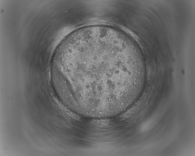 X0000076091415200610152307