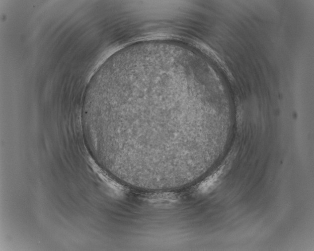 X0000076091417200610152307