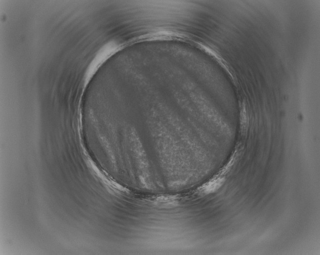 X0000076091418200610152307