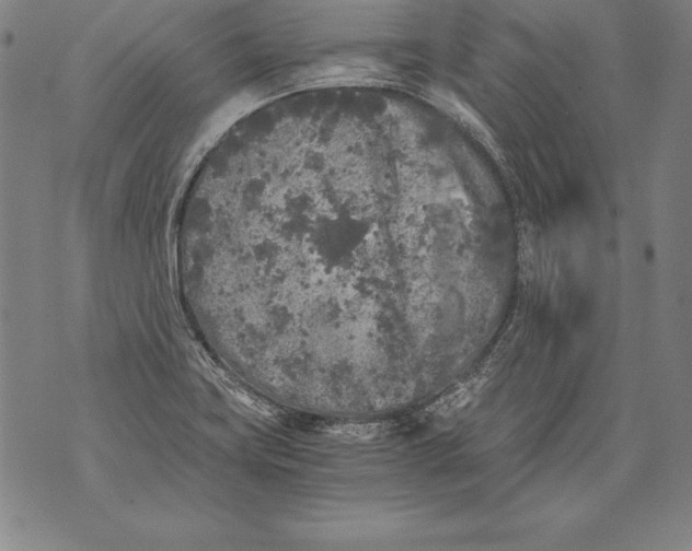 X0000076091419200610152307