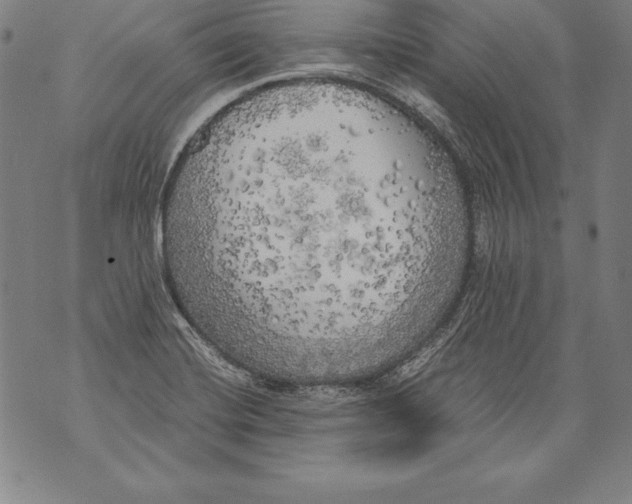 X0000076091420200610152307