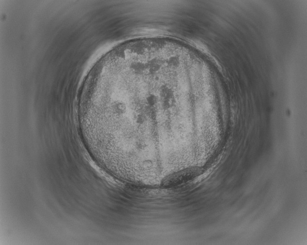 X0000076091421200610152307