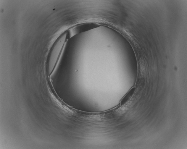 X0000076091422200610152307