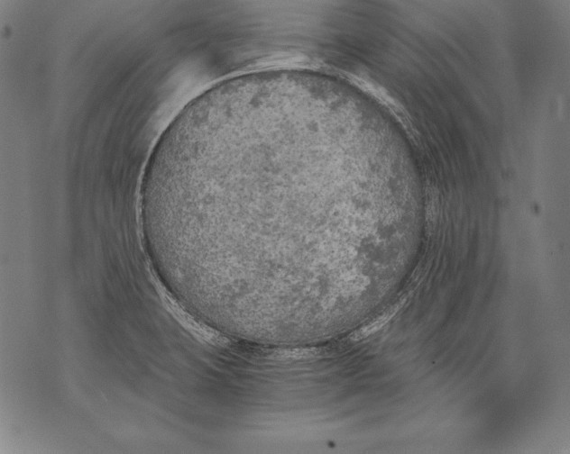 X0000076091423200610152307