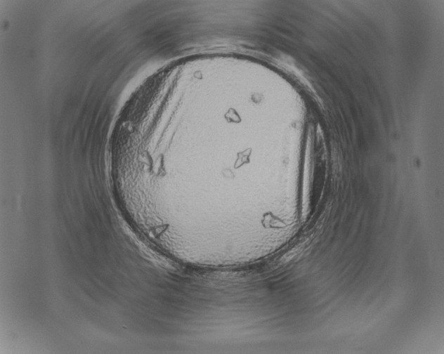 X0000076091424200610152307