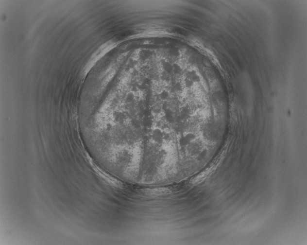 X0000076091425200610152307