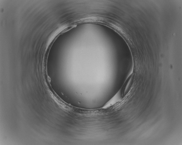 X0000076091426200610152307