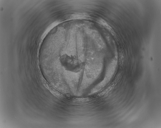 X0000076091427200610152307