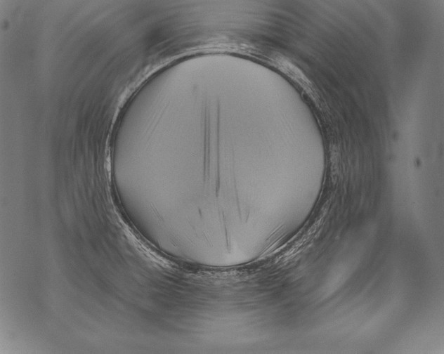 X0000076091428200610152307