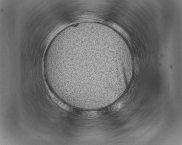 X0000076091431200610152307