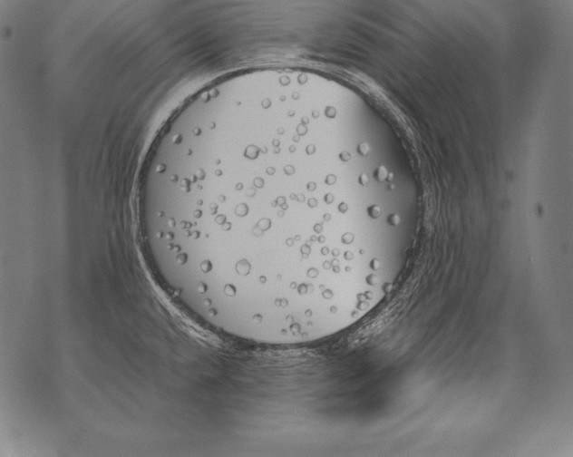 X0000076091432200610152307