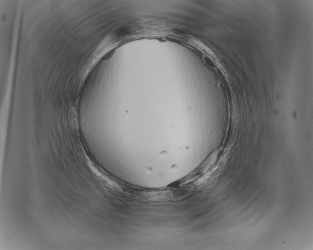 X0000076091433200610152307