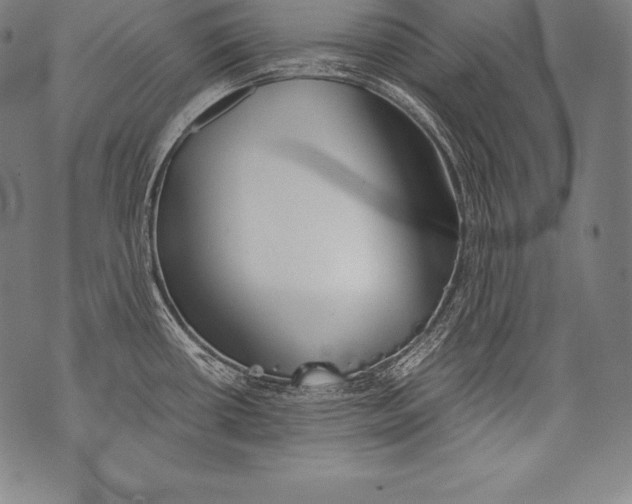 X0000076091434200610152307