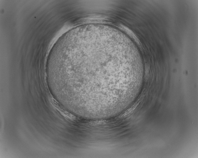 X0000076091435200610152307