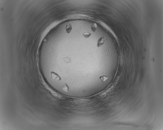 X0000076091437200610152307