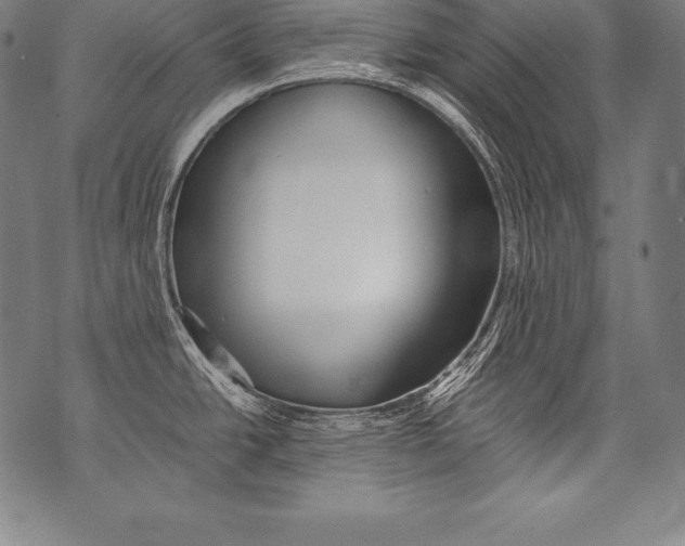 X0000076091438200610152307