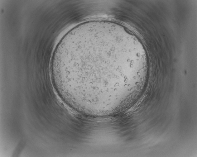 X0000076091440200610152307