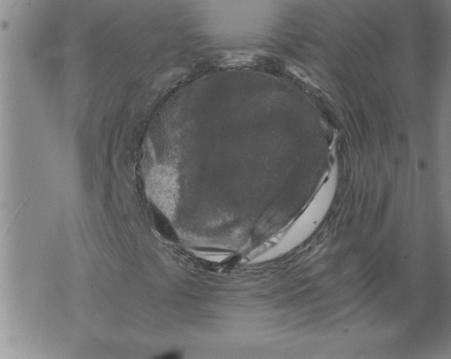 X0000076091441200610152306