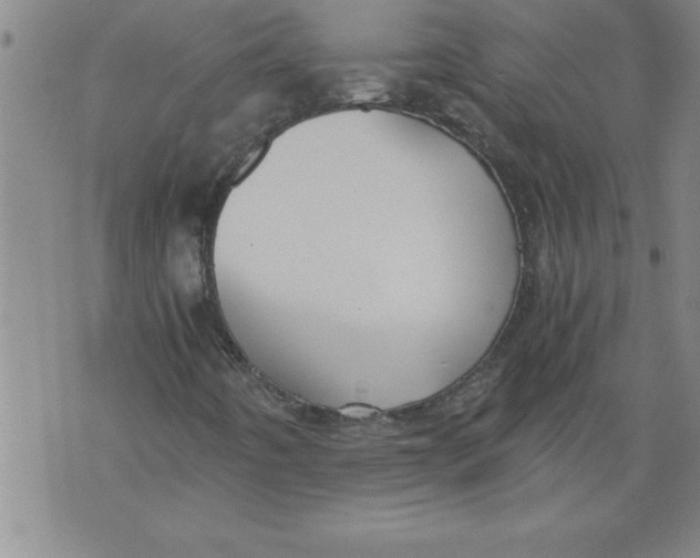 X0000076091442200610152306