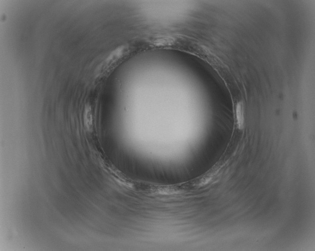 X0000076091443200610152306