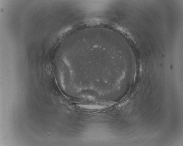 X0000076091445200610152306