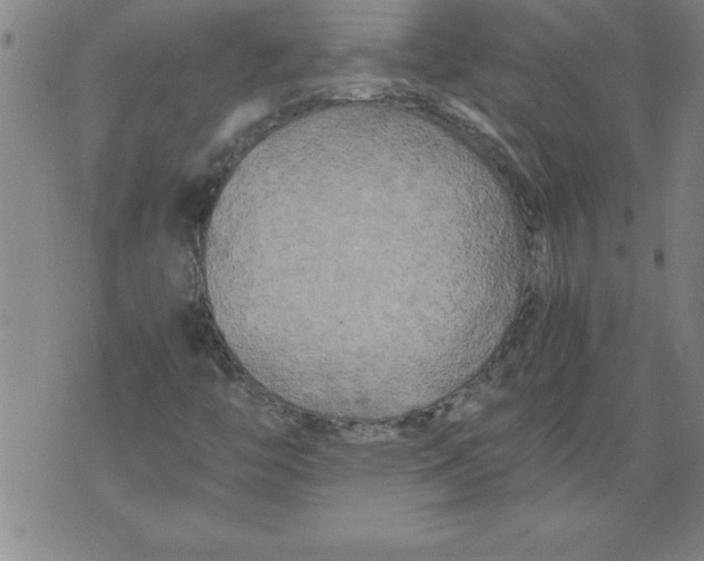 X0000076091446200610152306