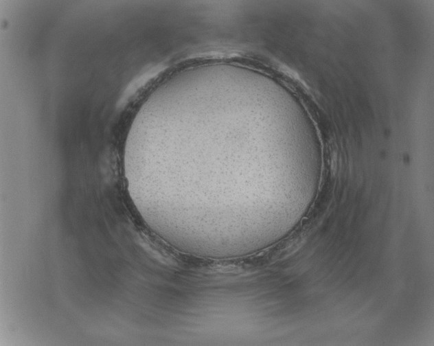 X0000076091448200610152306