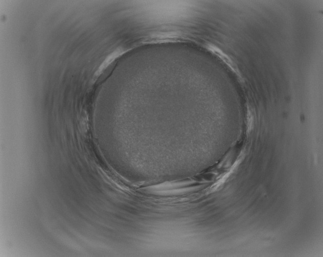 X0000076091449200610152306