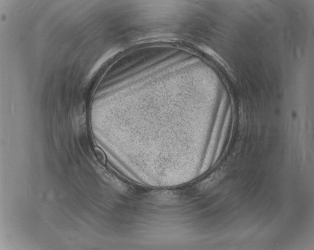 X0000076091450200610152306