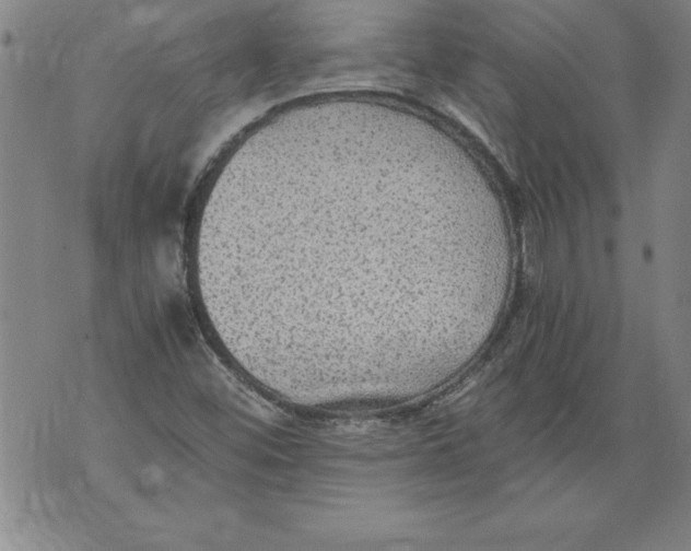 X0000076091452200610152306