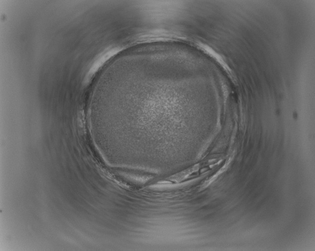 X0000076091453200610152306