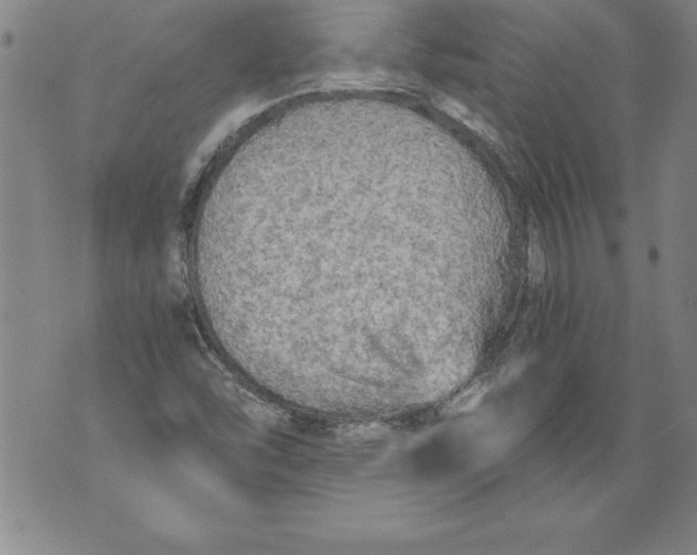 X0000076091454200610152306