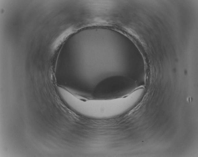 X0000076091455200610152306