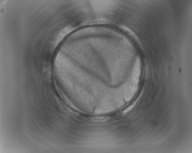 X0000076091457200610152306