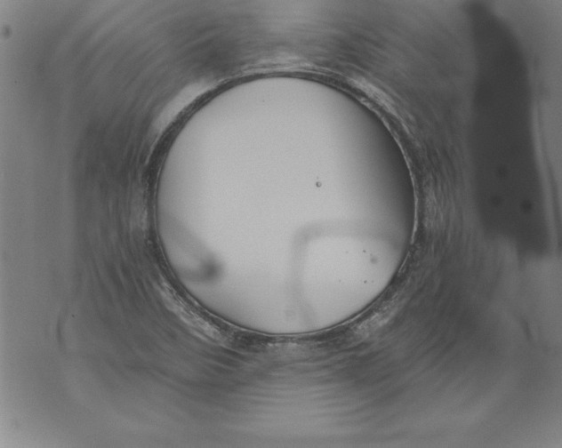 X0000076091458200610152306