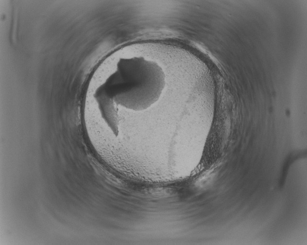 X0000076091459200610152306