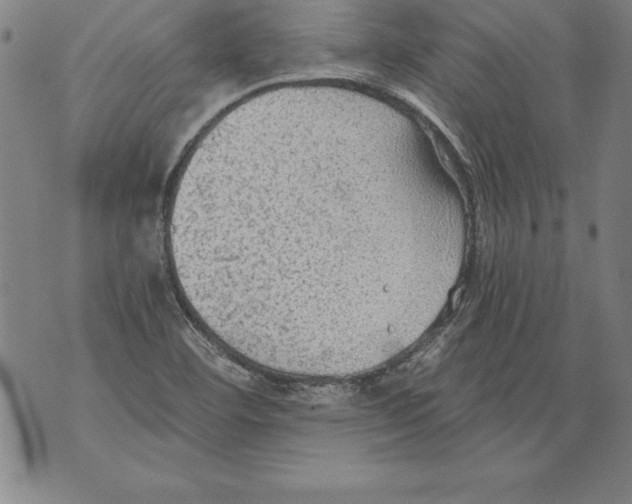 X0000076091460200610152306