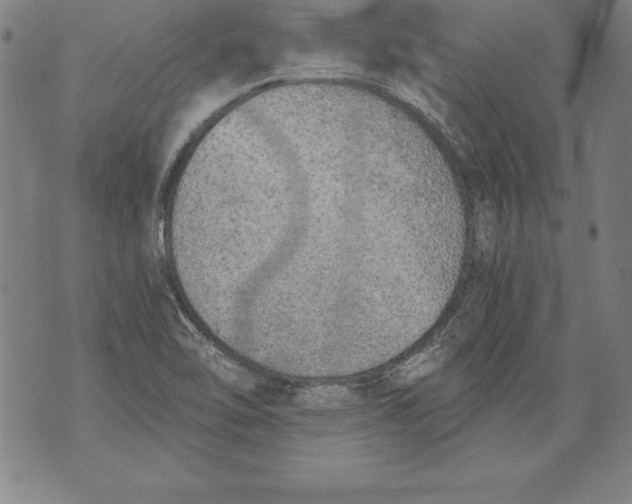 X0000076091462200610152306